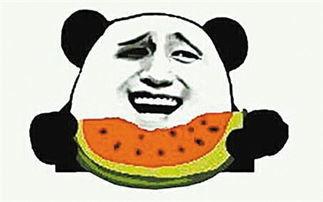 吃瓜群众的瓜指的是什么,网络热词背后的文化现象