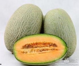 葵葵吃哈密瓜,葵葵的哈密瓜美食之旅