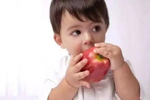 儿童吃捧瓜 好吗,健康益处与注意事项