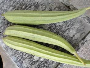 专业吃瓜20年,揭秘娱乐圈幕后真相