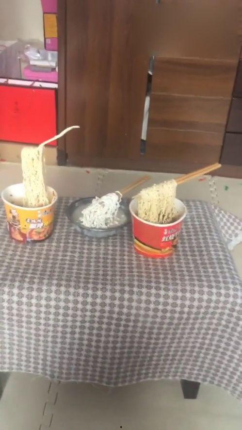 野外聚餐吃瓜,瓜果飘香，共享欢乐时光