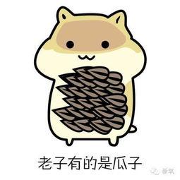 瓜子吃瓜表情包,表情包里的吃瓜乐趣