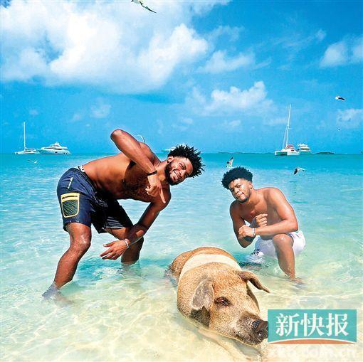 温斯洛海滩吃瓜,一场热闹非凡的吃瓜盛宴