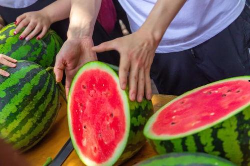 自由吃瓜基地雪藏,雪藏背后的秘密与精彩