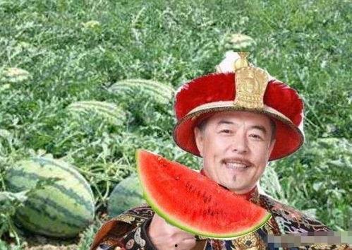 乾隆吃瓜沙,宫廷中的消闲趣闻