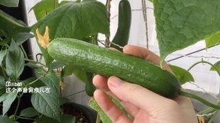 吃瓜各种新瓜,娱乐圈风云再起