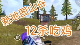 吃鸡山谷瓜,揭秘神秘山谷中的生存挑战与传奇故事