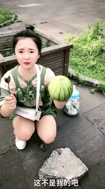 喵喵吃瓜视频,揭秘娱乐圈那些不为人知的幕后故事