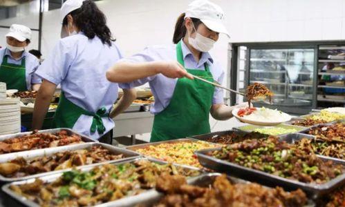 校园吃瓜食堂事件,揭秘背后真相与反思