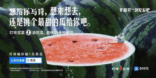 吃瓜作诗文案,一场别开生面的吃瓜作诗盛宴