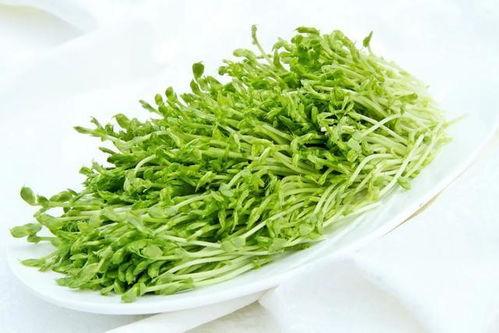 吃瓜的豌豆苗怎么吃,清新口感，营养满分