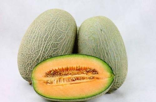 吃哈密瓜把瓜塞嘴巴里,满口甜蜜滋味