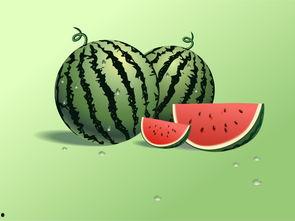 神奇海挪吃瓜总结,吃瓜群众的欢乐盛宴