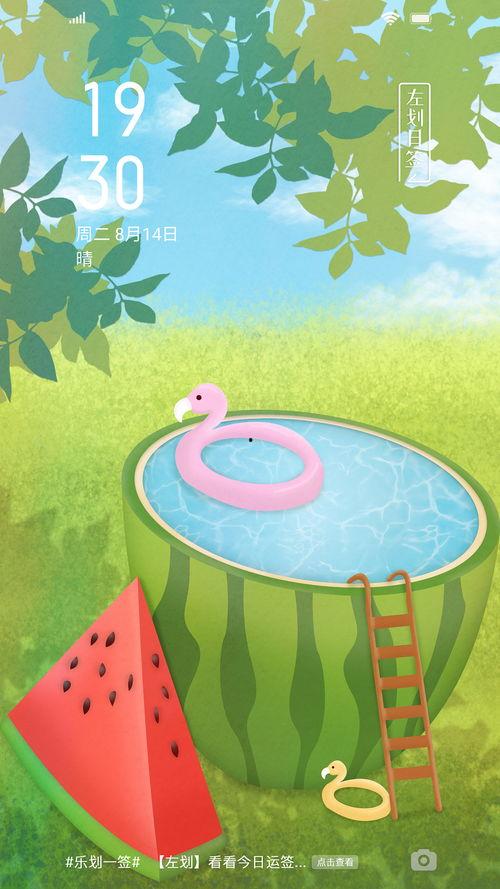 快乐的吃瓜菌,揭秘快乐吃瓜的奥秘