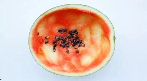 吃瓜圆勺子,揭秘吃瓜圆勺子的独特魅力与趣味生活