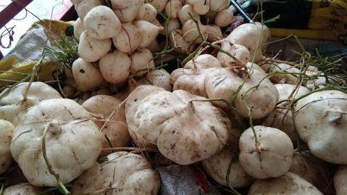 你就是在摸蛆 吃瓜