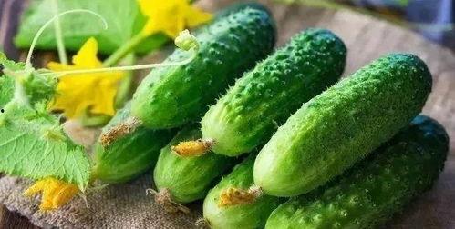 吃瓜吃三角骨,探寻吃瓜者的独特风味之旅