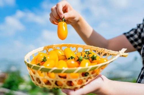 吃瓜拆卡,揭秘娱乐圈背后的秘密与真相